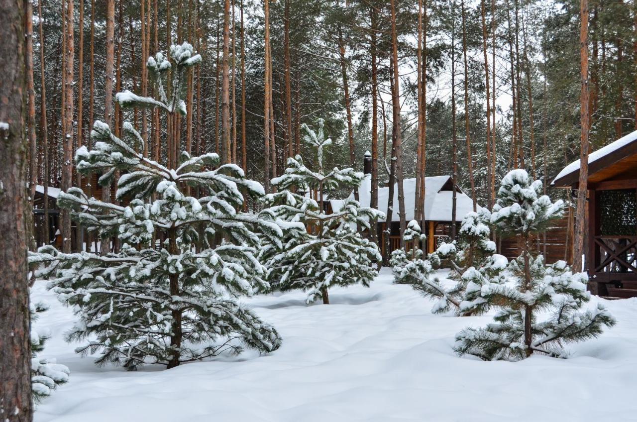 Sobi Hotel Вишхород Екстериор снимка